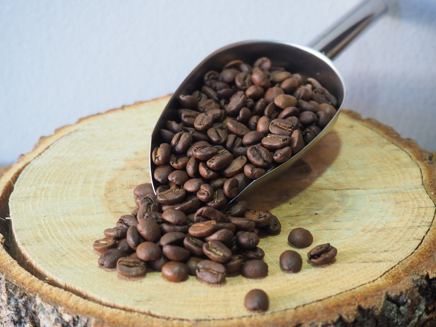 Café Costa Rica Tarrazu | 100 gr
