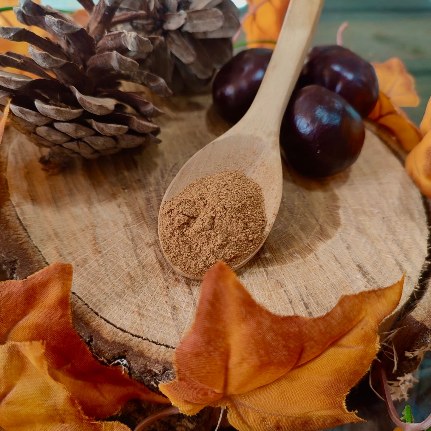 Pumpkin Spice | 50gr