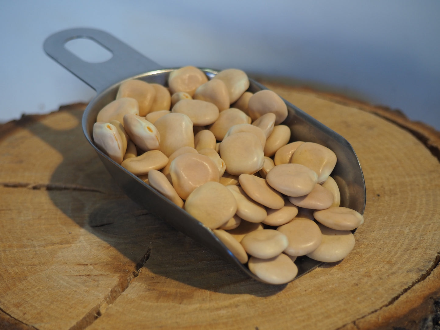 Altramuces secos | 100 grs