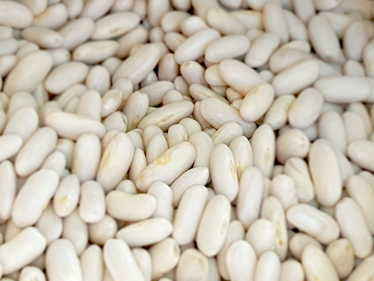 Alubia blanca riñón | 100 gr