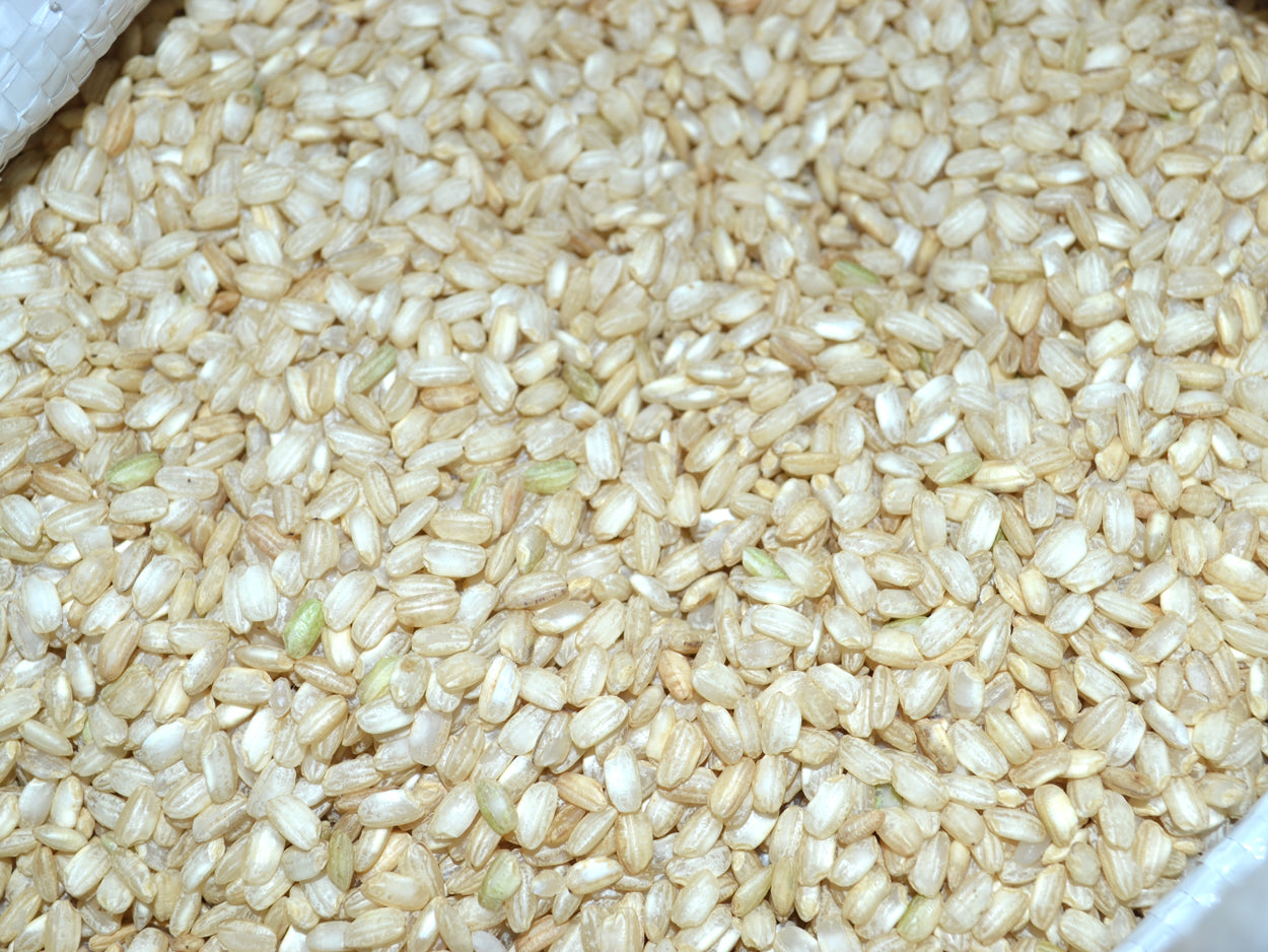 Arroz Integral Redondo | 100 gr