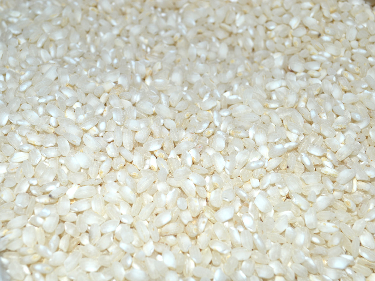 Arroz Redondo | 100 gr