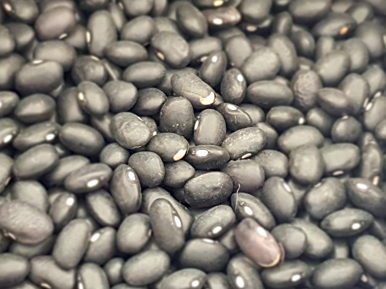 Frijol negro | 100 gr