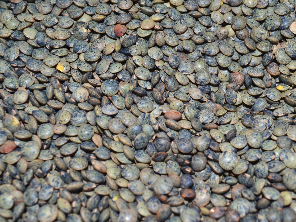 Lenteja verdina (de Puy) | 100 gr