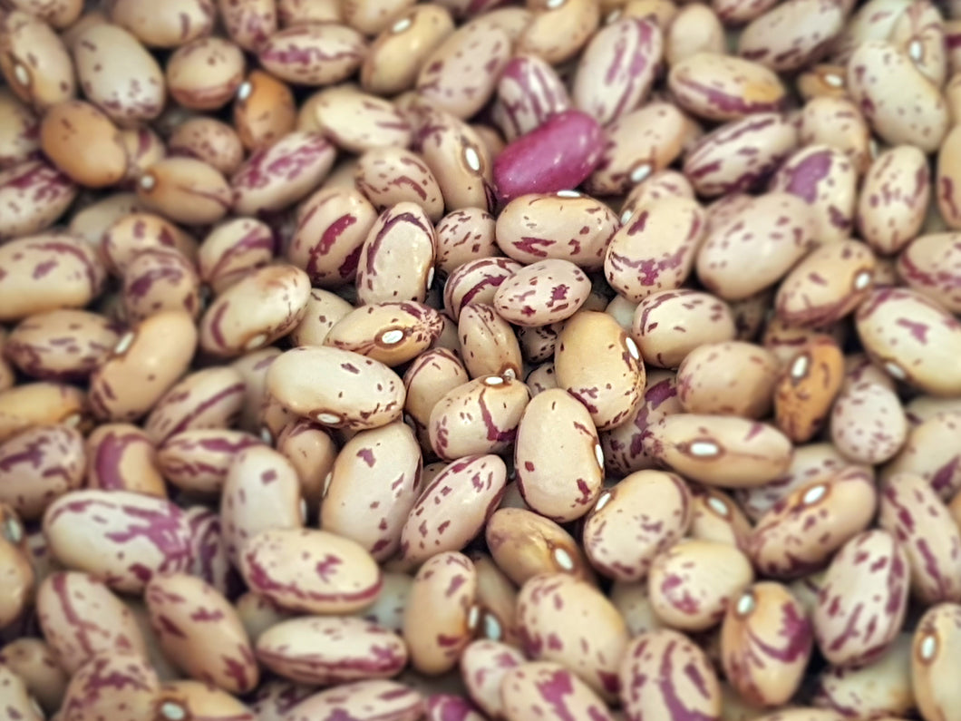 Alubia pinta | 100 gr